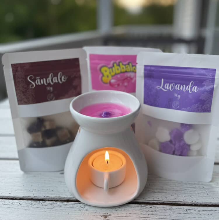 Kit Difusor Richaud + 200g de Wax melts + 5 velas rechaud